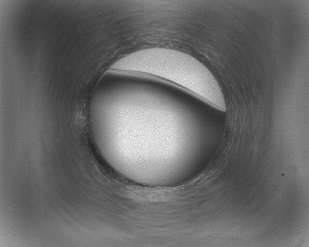 X0000071940040200607071025