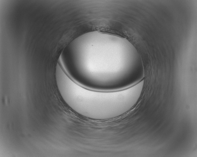 X0000071940041200607071025