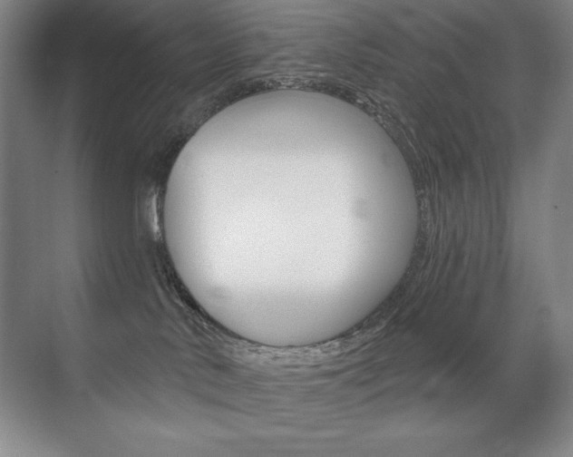 X0000071940042200607071024