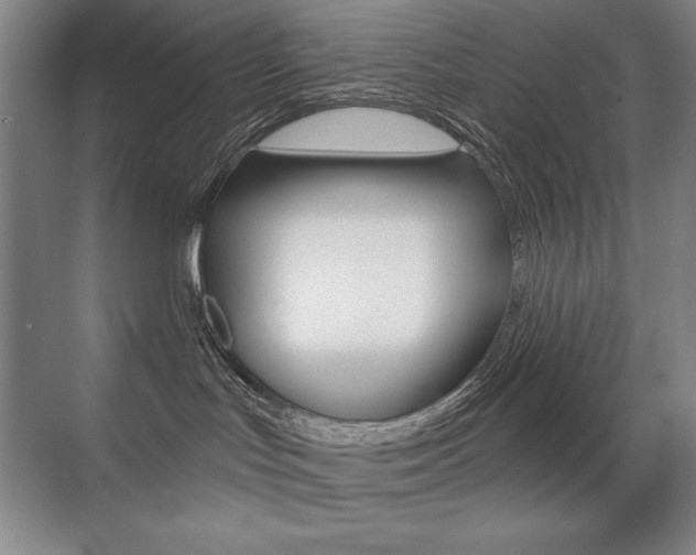 X0000071940047200607071024
