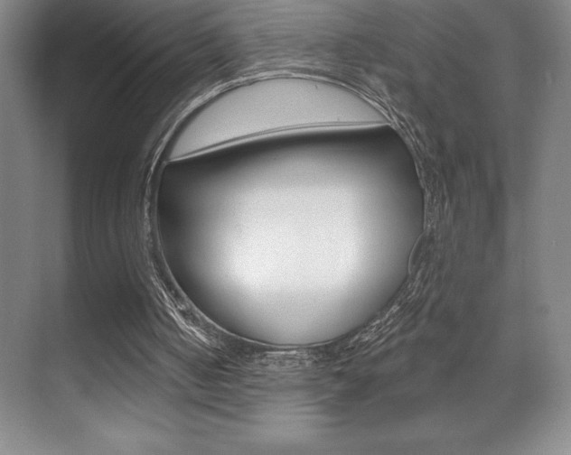 X0000071940050200607071024