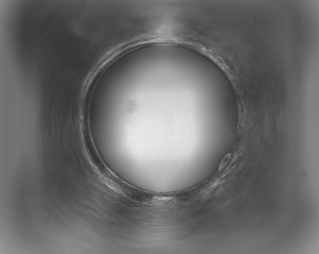 X0000071940055200607071024