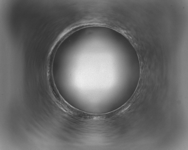 X0000071940056200607071024
