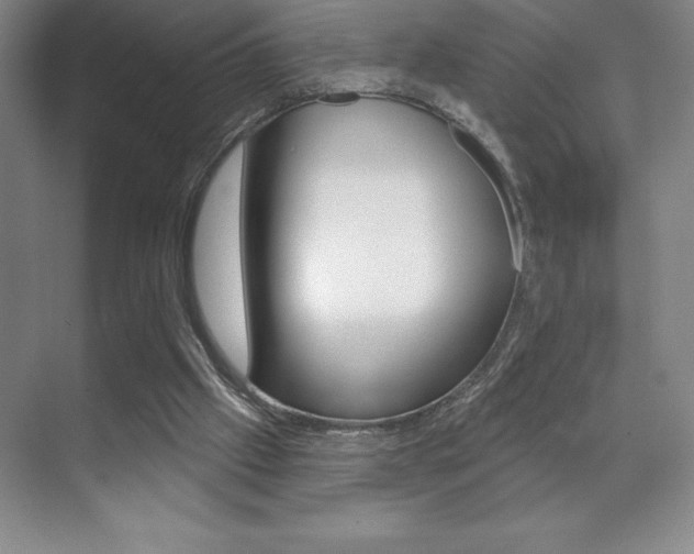 X0000071940057200607071024