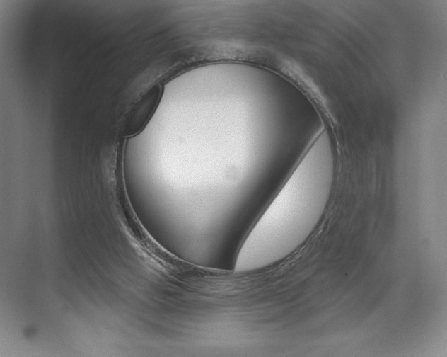 X0000071940058200607071024