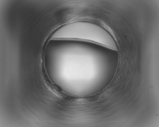 X0000071940059200607071024