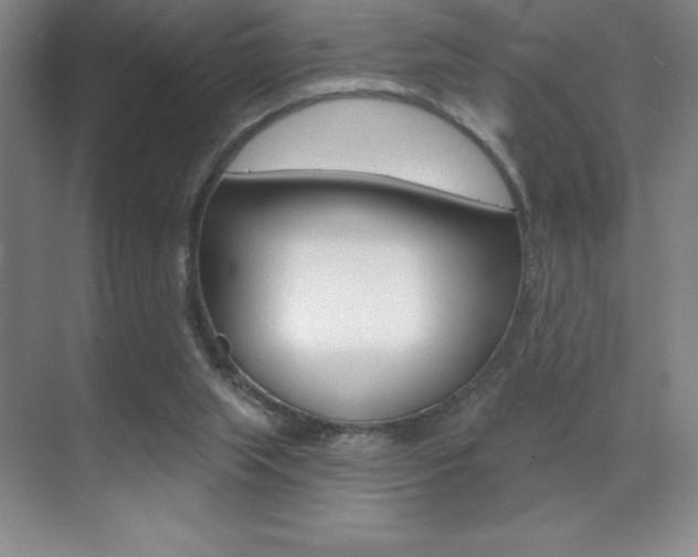 X0000071940063200607071024