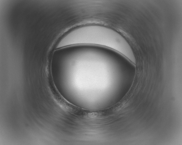 X0000071940064200607071024