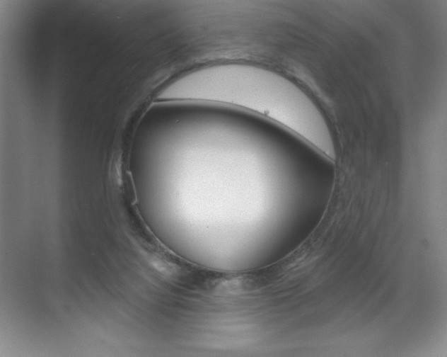 X0000071940068200607071024