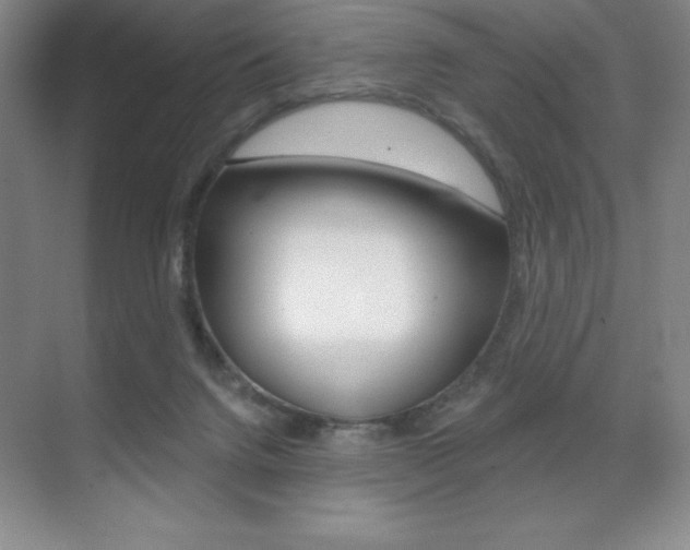X0000071940072200607071024