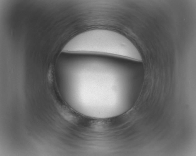 X0000071940074200607071024