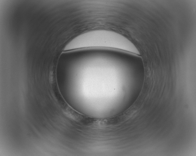 X0000071940080200607071024