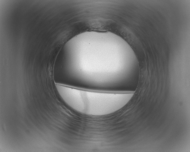 X0000071940081200607071024
