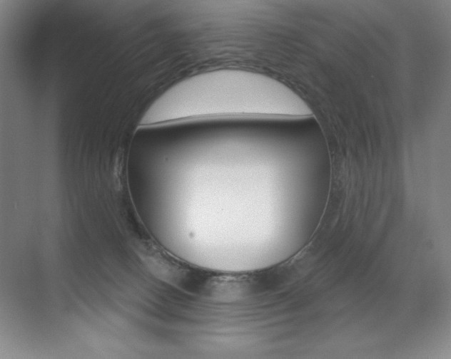 X0000071940082200607071024