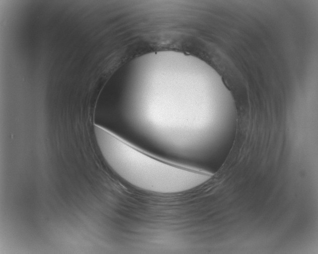 X0000071940085200607071024