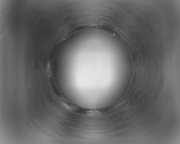 X0000071940087200607071024