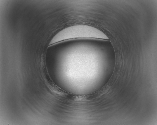 X0000071940088200607071024