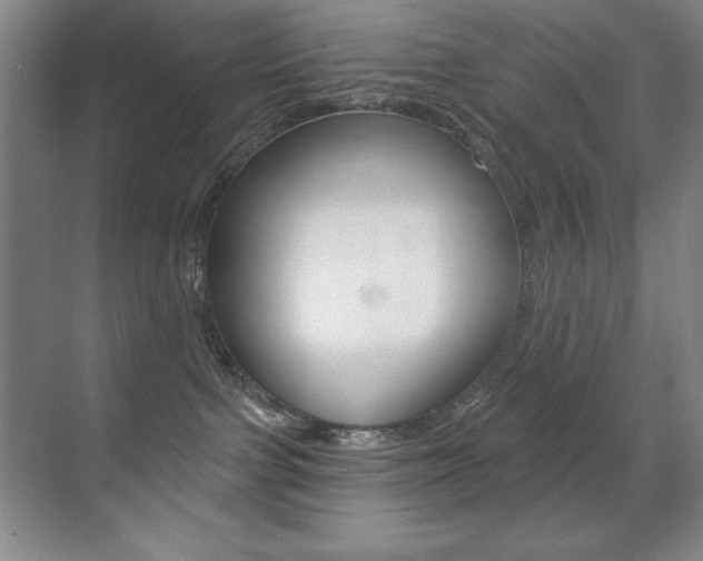 X0000071940091200607071024
