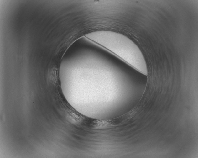 X0000071940093200607071024