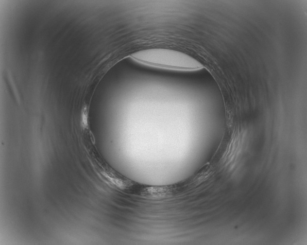X0000071940095200607071024