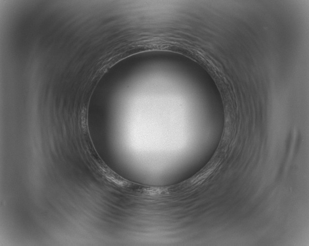 X0000071940096200607071024