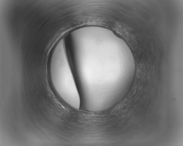 X0000071940098200607071024