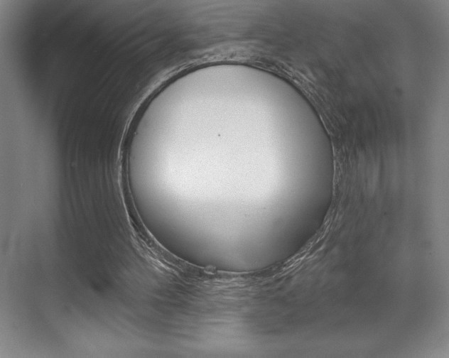 X0000071940100200607071024