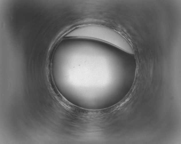 X0000071940101200607071023