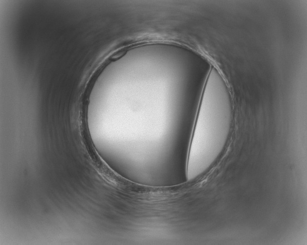 X0000071940103200607071023
