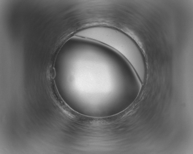X0000071940105200607071023