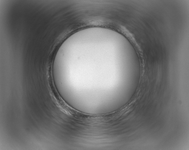 X0000071940106200607071023