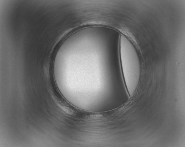 X0000071940108200607071023