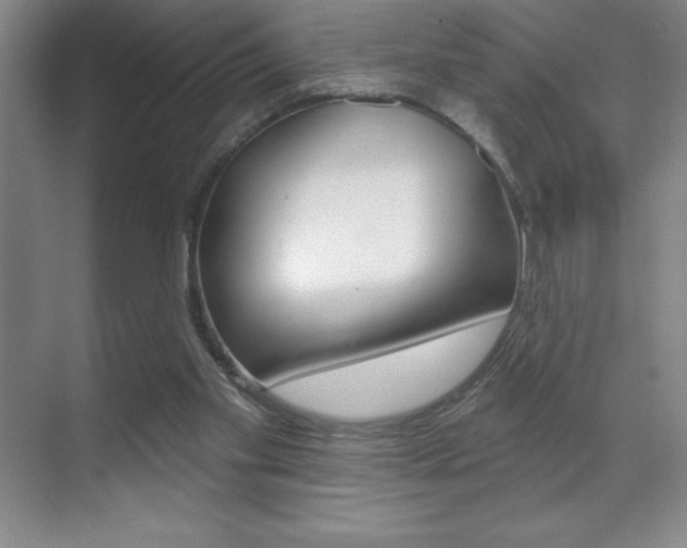 X0000071940109200607071023