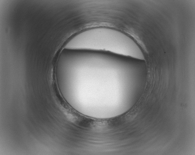X0000071940110200607071023