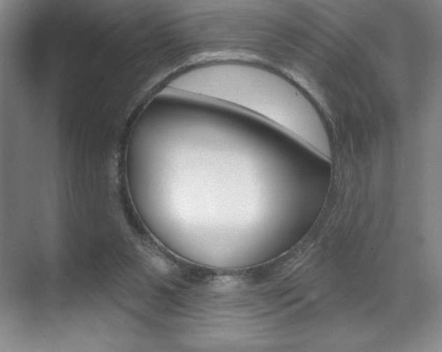 X0000071940111200607071023