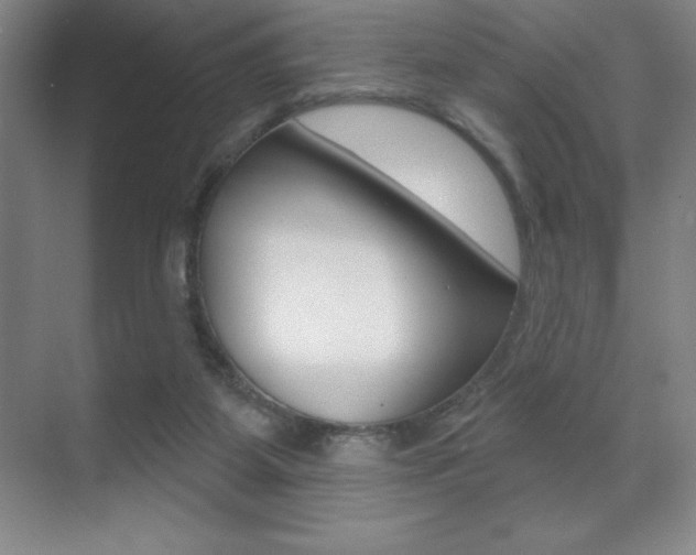 X0000071940115200607071023