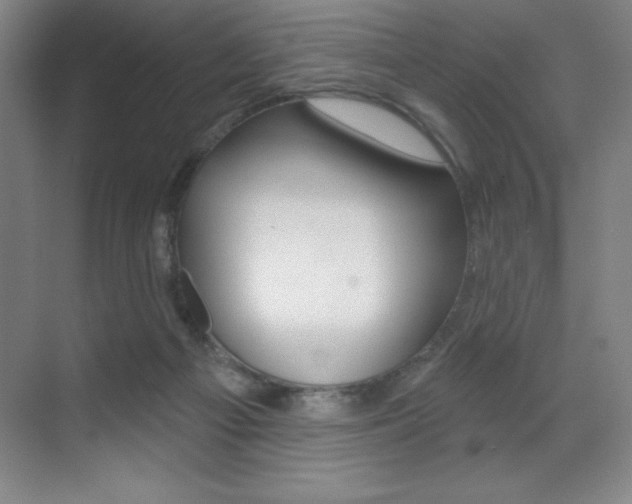 X0000071940121200607071023