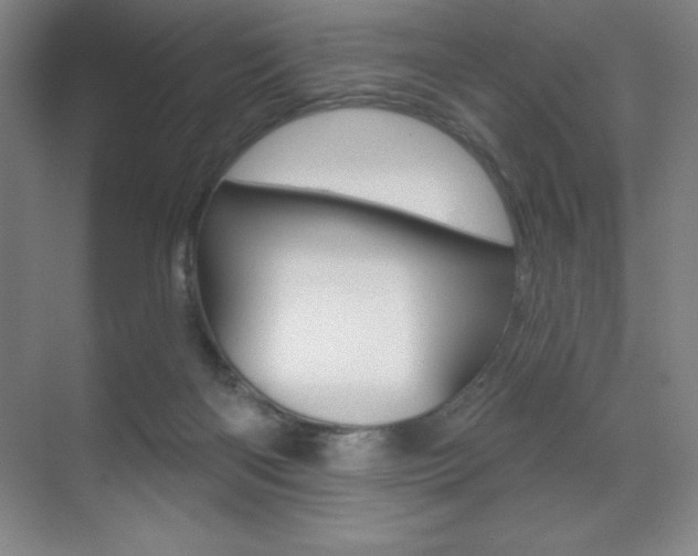 X0000071940122200607071023