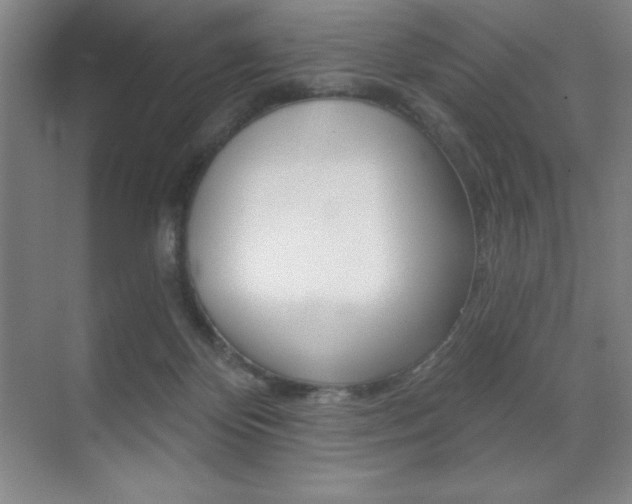 X0000071940124200607071023