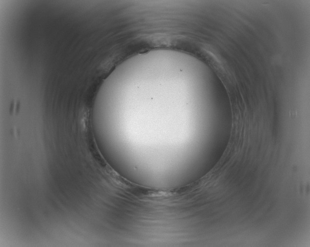 X0000071940125200607071023