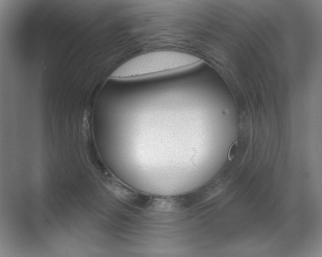 X0000071940127200607071023