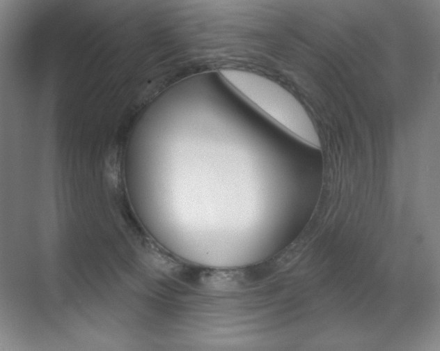 X0000071940129200607071023