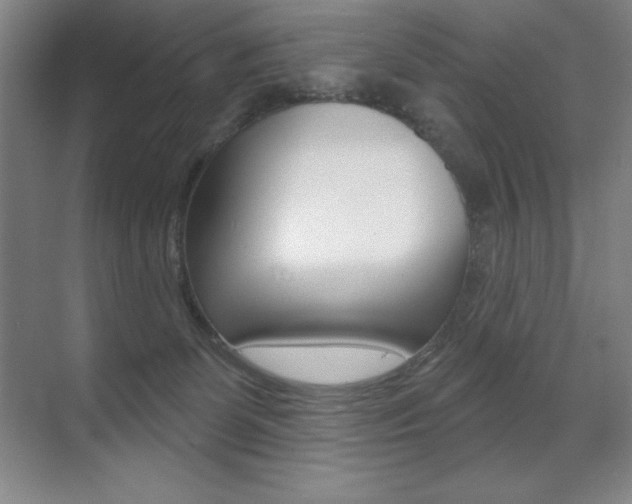 X0000071940131200607071023