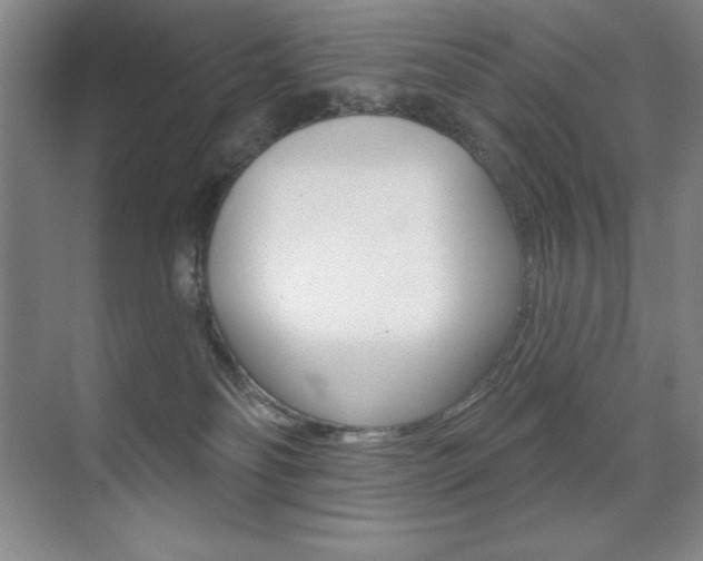 X0000071940134200607071023
