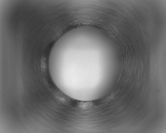 X0000071940135200607071023
