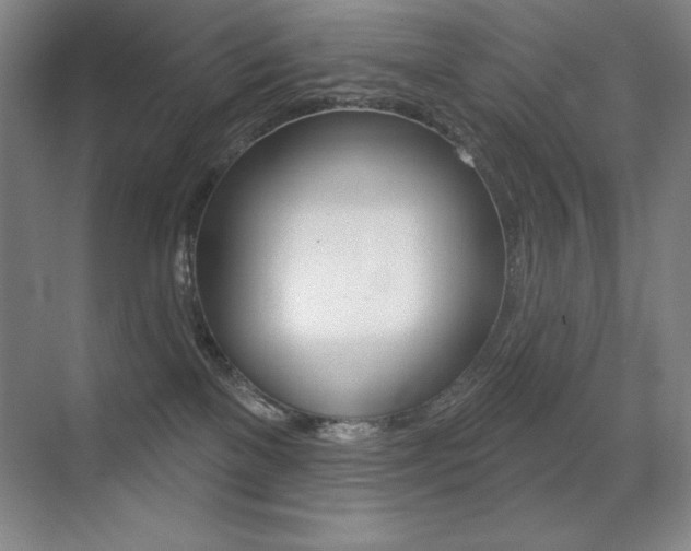 X0000071940137200607071023