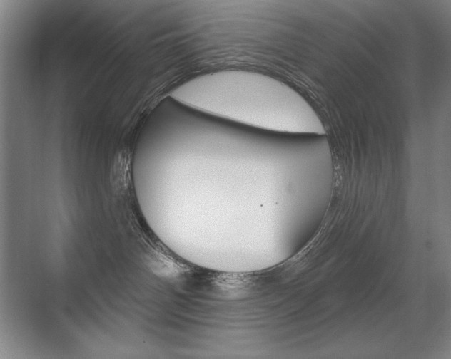 X0000071940142200607071023