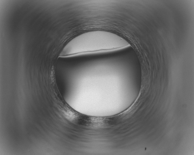 X0000071940144200607071023