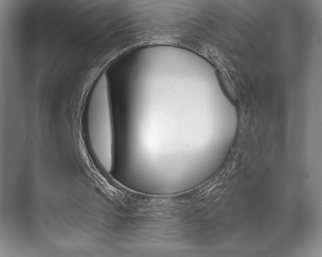 X0000071940145200607071022
