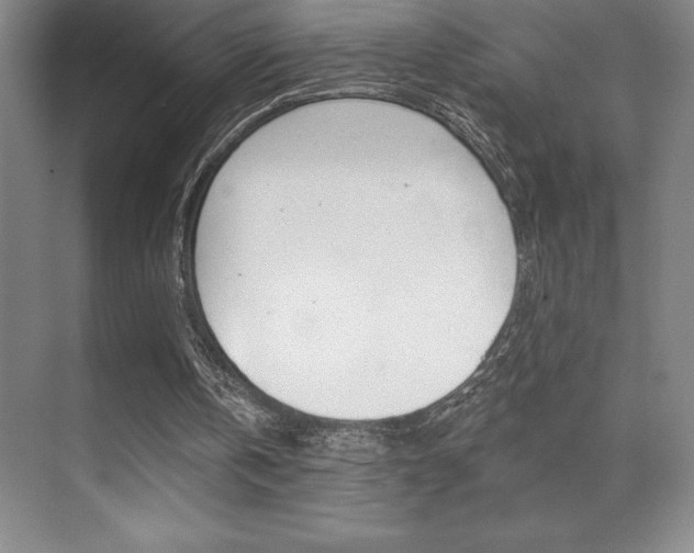 X0000071940146200607071022
